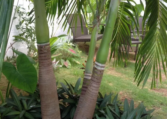 Condotel Ca'del Sol 3*